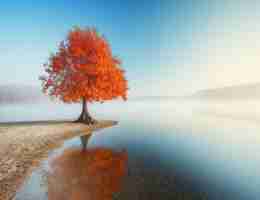 javascript教﻿程‍完‌整​版‍